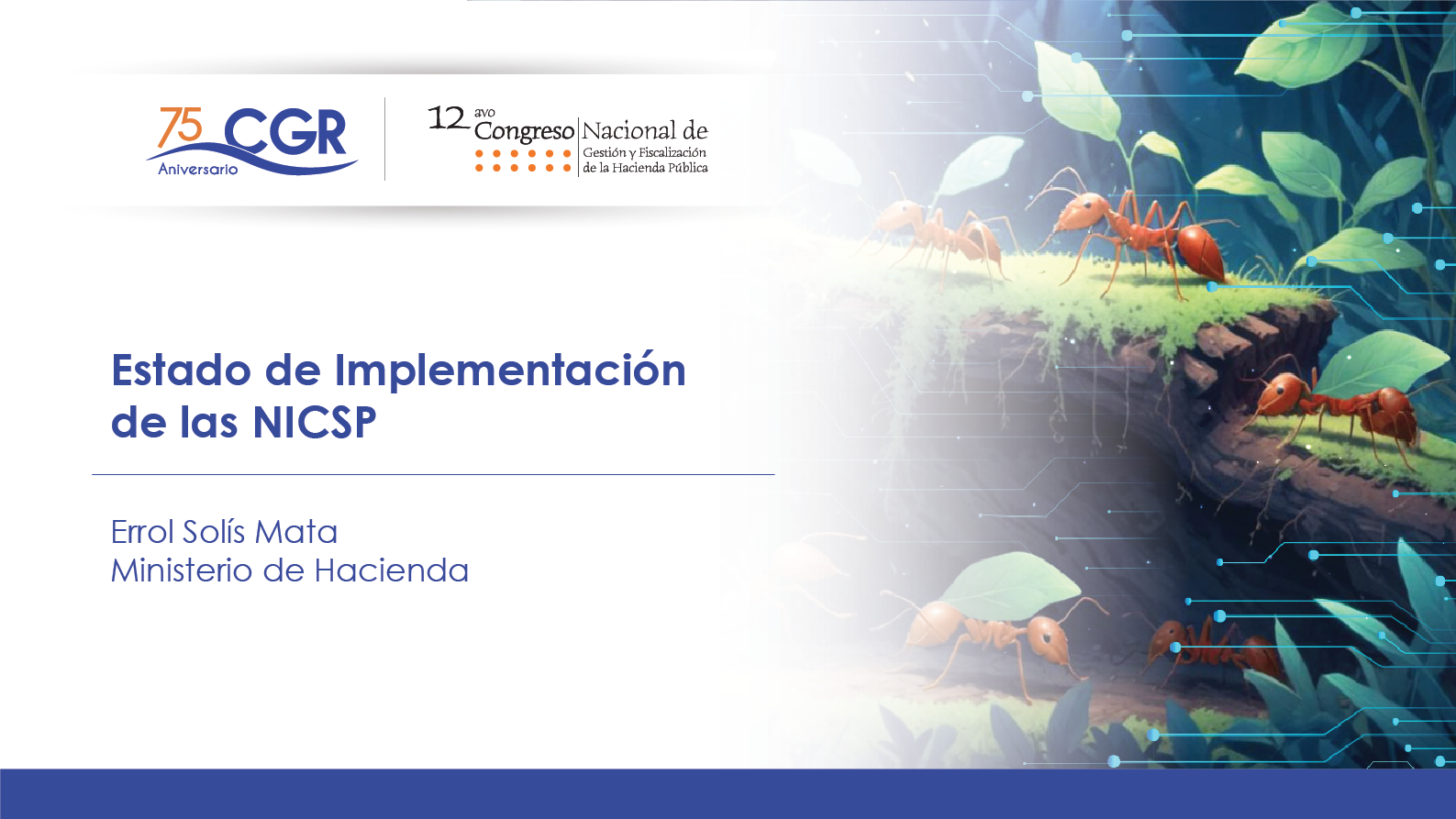 Estado de Implementación de las NICSP