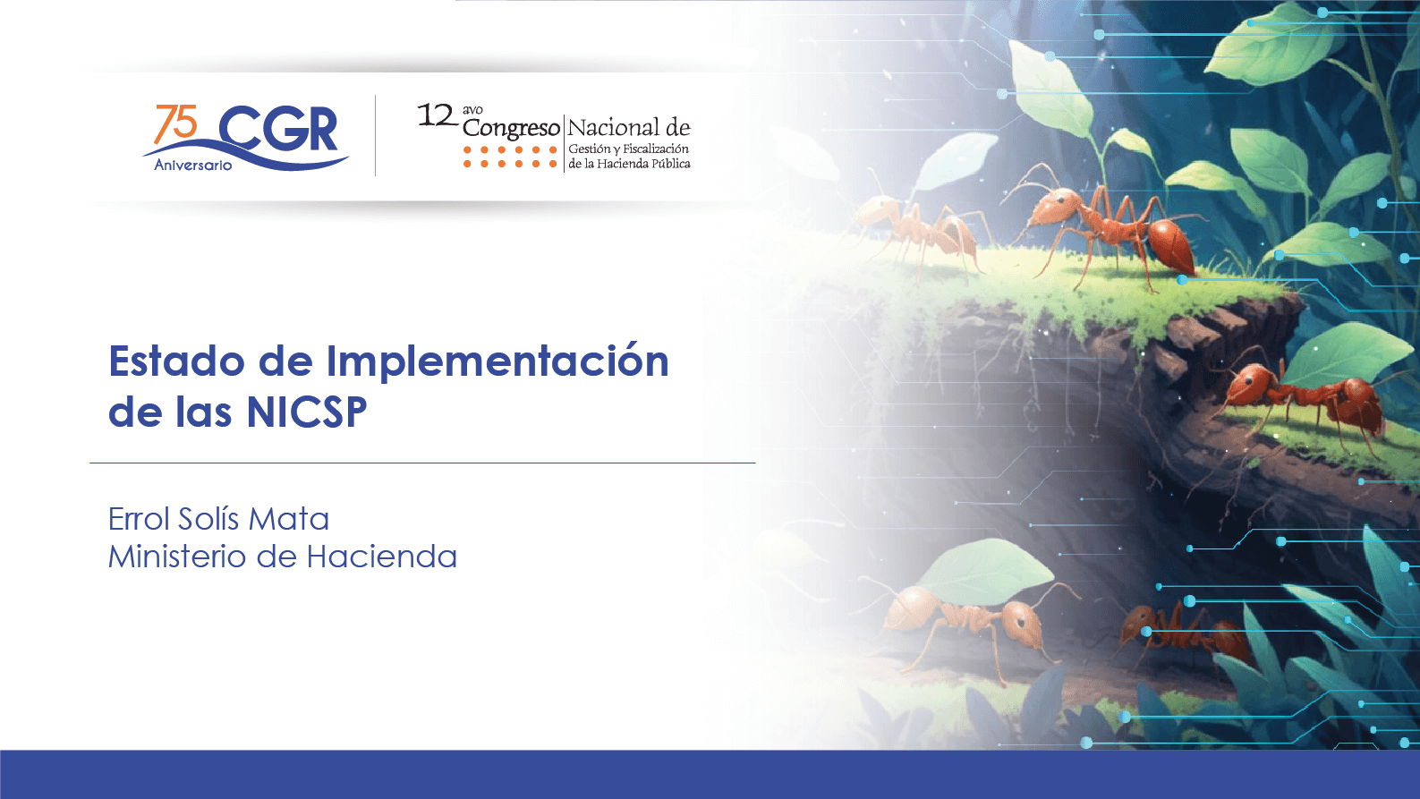 Estado de Implementación de las NICSP