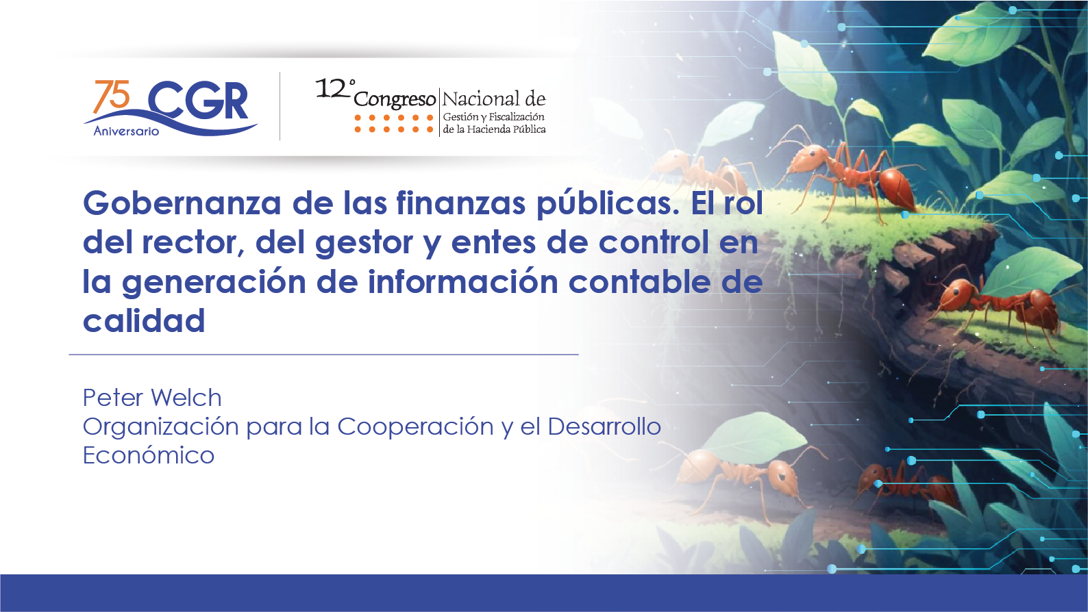 Gobernanza de las finanzas públicas. El rol del rector, del gestor y entes de control en la generación de información contable de calidad