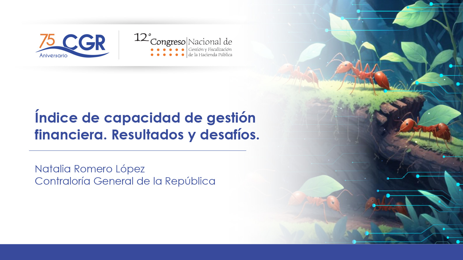 Índice de capacidad de gestión financiera. Resultados y desafíos