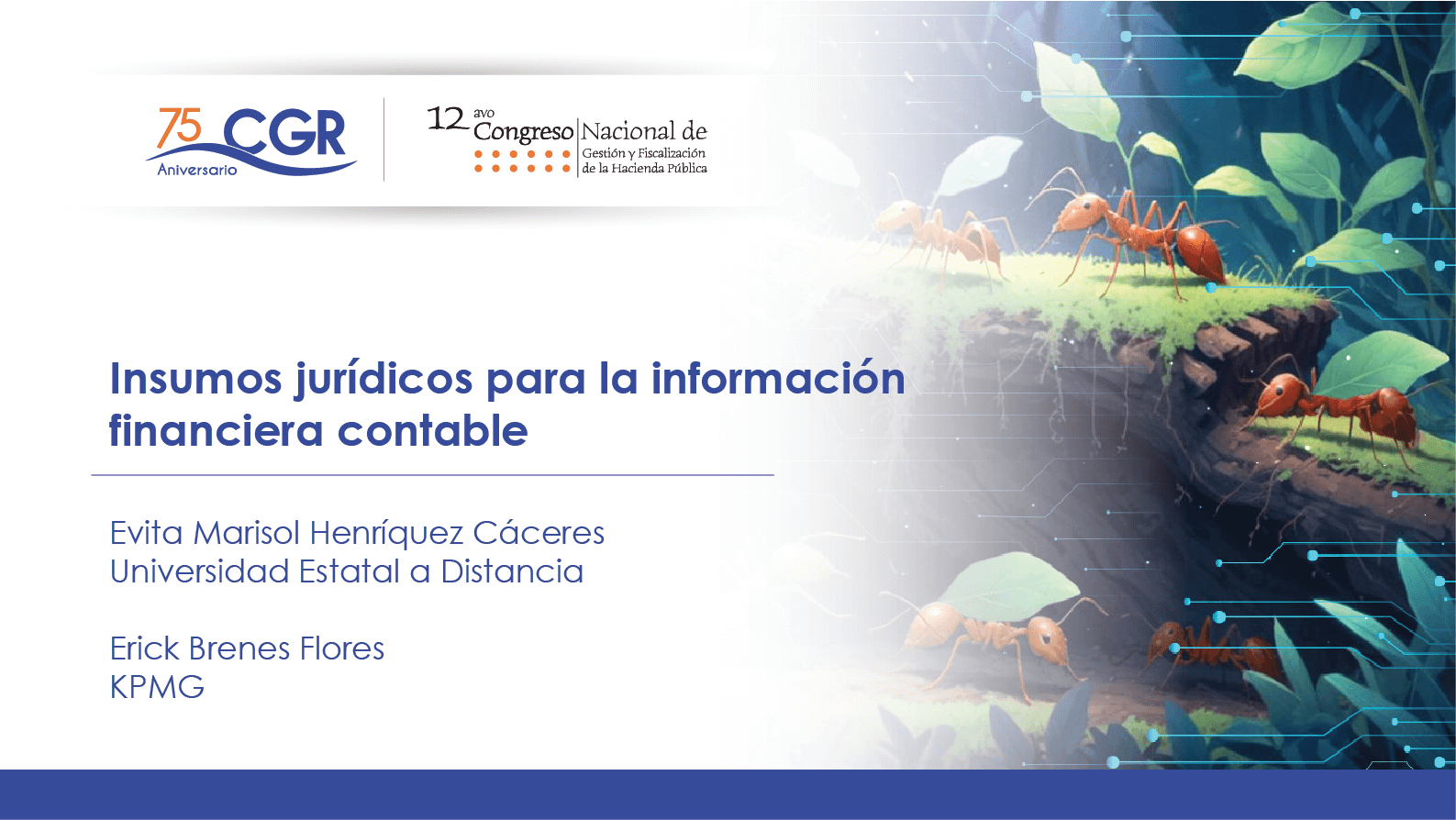 Insumos jurídicos para la información financiera contable
