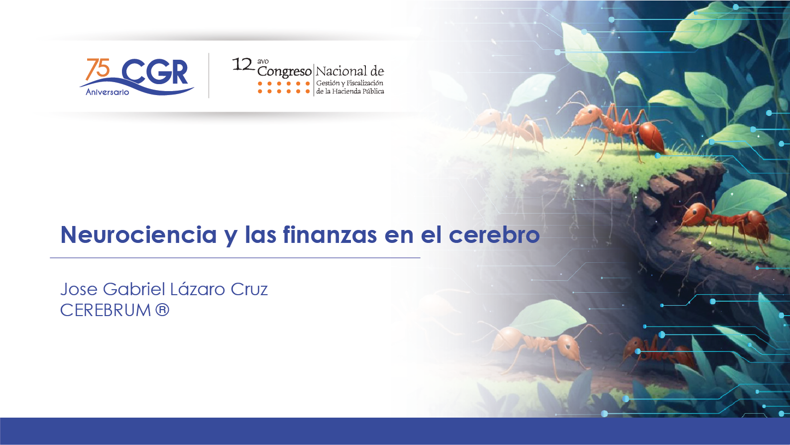 Neurociencia y las finanzas en el cerebro