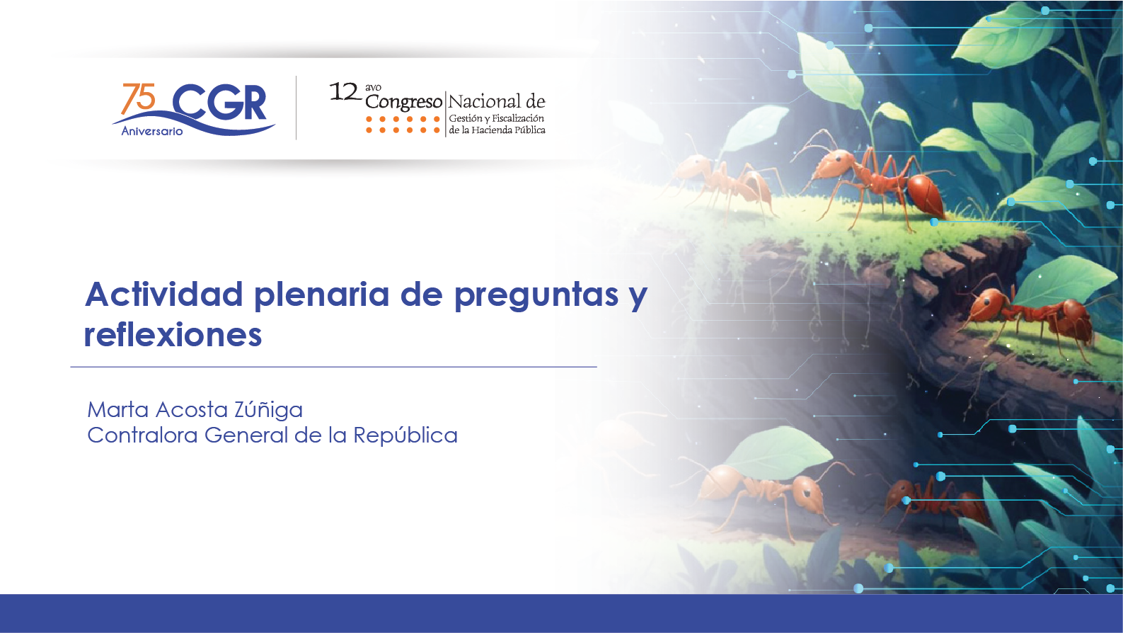 Actividad plenaria de preguntas y reflexiones