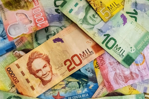 Ingresar al sistema denominado: Conozca en qué se gasta su dinero