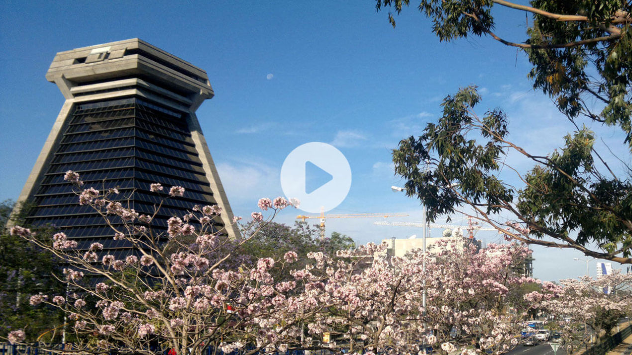 Ver vídeo: Vocero(a) de la Contraloría General de la República