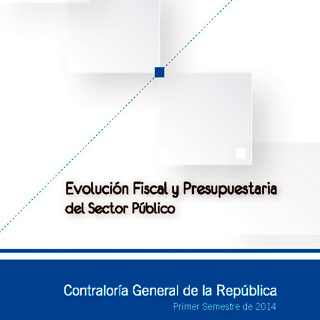 Ver el documento (pdf) denominado: Evolución Fiscal y Presupuestaria del Sector Público al 30 de junio del año 2014