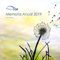 Ver el documento (pdf) denominado: Memoria Anual 2019