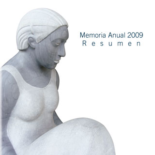 Ver el documento (pdf) denominado: Resumen Memoria Anual 2009